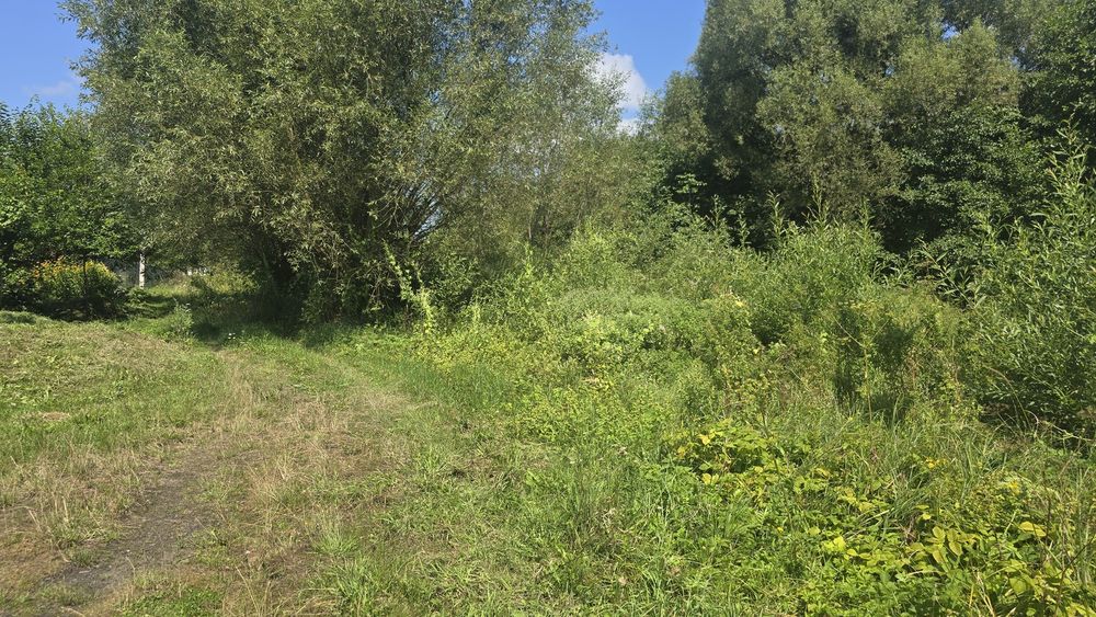 Продаж ділянки 63сот. з видом на озеро та замок Радомисль (Радомишль)