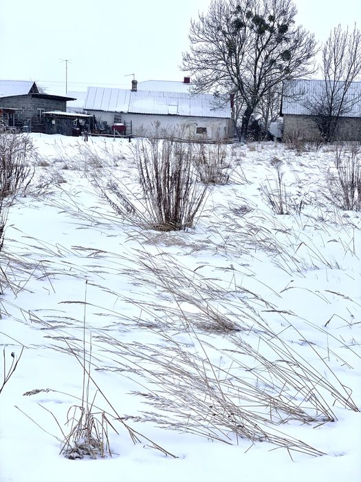 * Продаж земельної ділянки в передмісті Радивилова (с. Бугаївка)