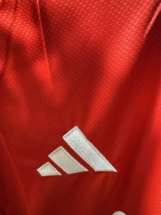 Camidola principal benfica 25/25