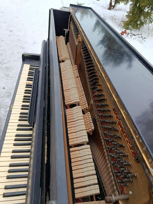 Безкоштовно .безкоштовно.