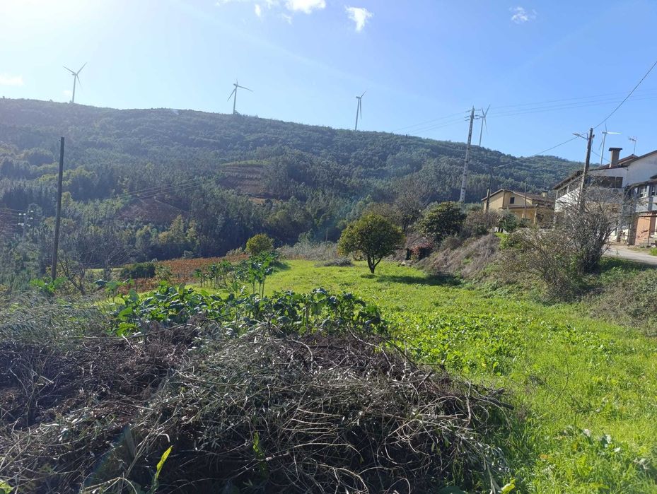 Terreno à venda em Penacova