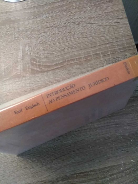 Introdução ao pensamento jurídico por Karl Engisch