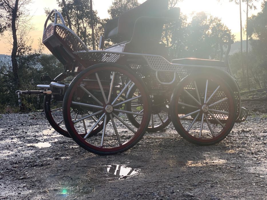 Maratona Competição CAVALOS