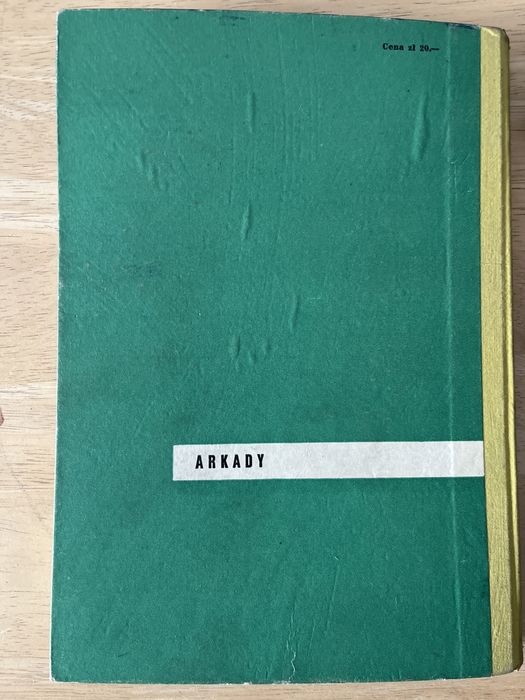 Ksaizka Roboty Tynkowe