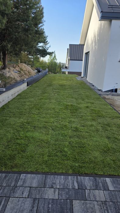 40m² Trawa z rolki – Gęsta, Zielona, Bez Chwastów | TRANSPORT