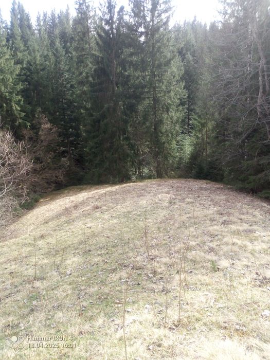 Земельна ділянка