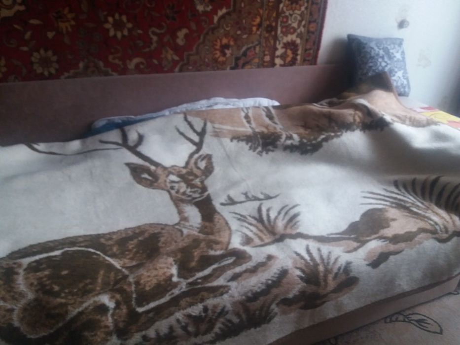 Продам  одеяло  .