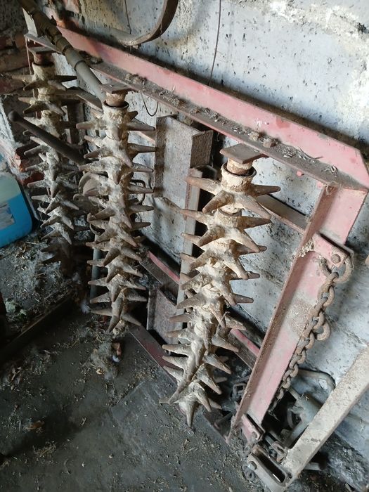 Kolczatka do  pługa