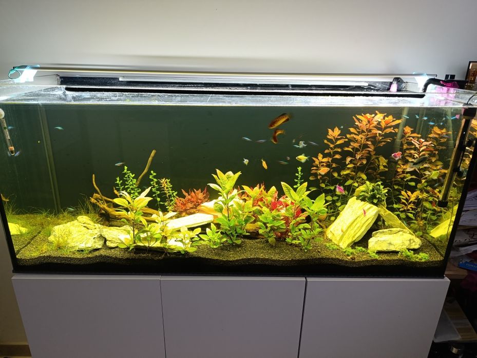 Akwarium 240 l z szafką