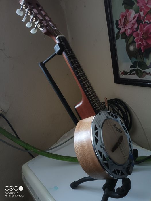Banjos Bandolins