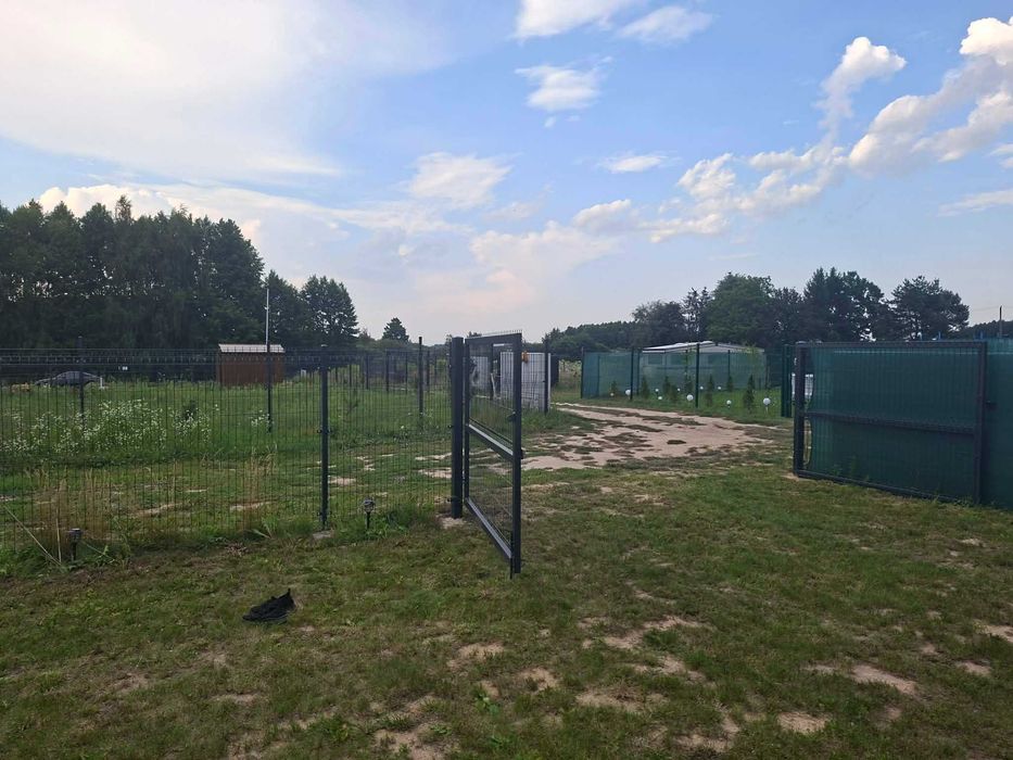 Zdjęcie 8