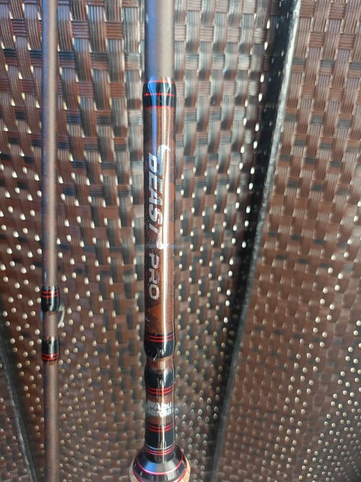 Wędka castingowa Abu Garcia BEAST PRO 50-150
