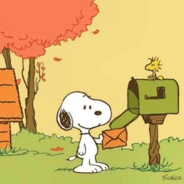 Peluche Grande - Snoopy - BLACK DAYS