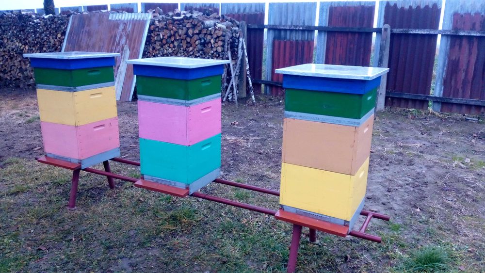 Ule wielkopolskie drewniane jednościenne