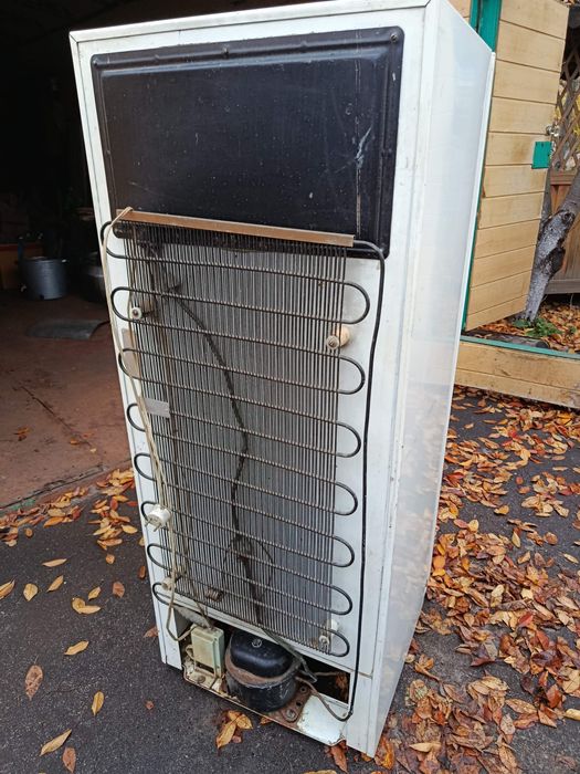 Холодильник Бирюста-6