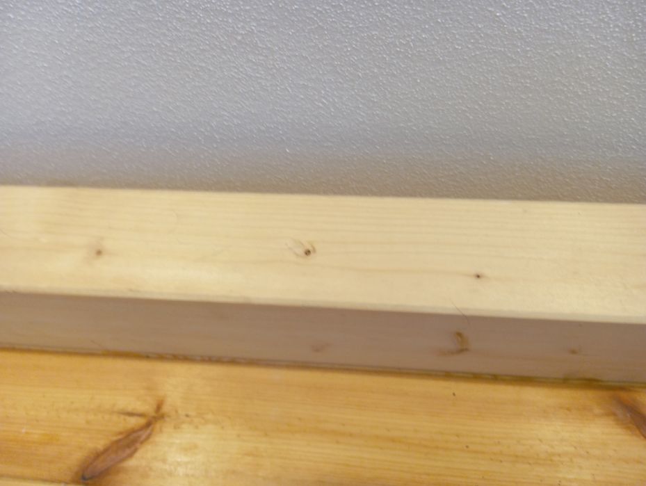 Viga  de madeira de pinho  nova em venta.