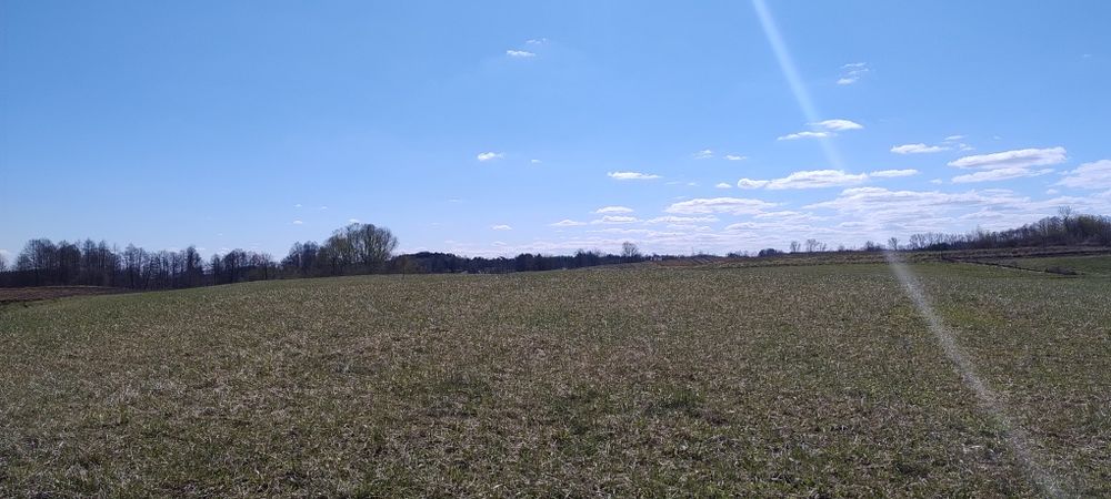 OKAZJA Działki w Bieniach 5km od Ełku - Widok 4