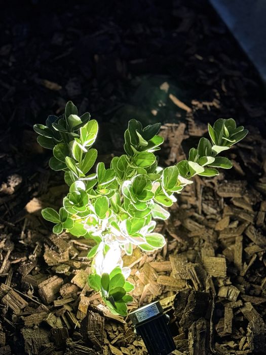 Дом по адресу ул. Капеланська (площадь 163 м²) - Atlanta.ua - фото 13