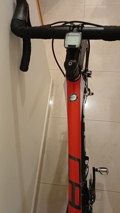 Focus cayo como nova