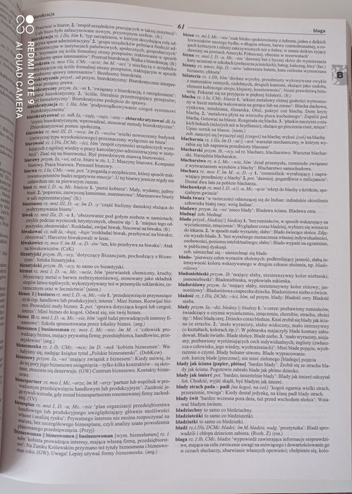 Słownik współczesnego języka polskiego.