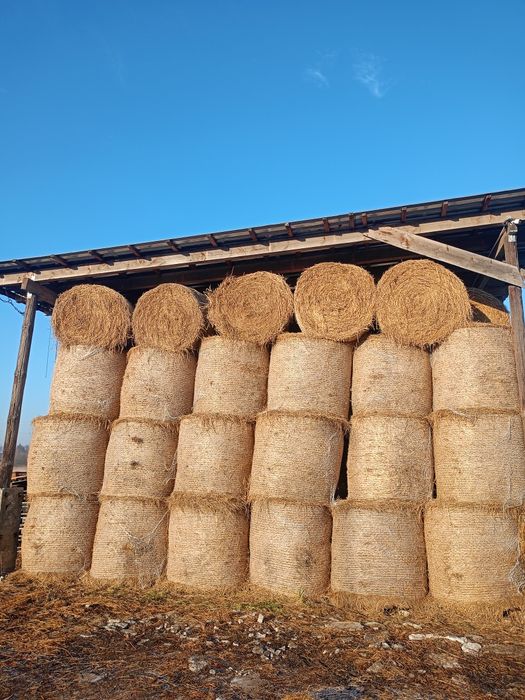 Siano  sianokiszonka  transport