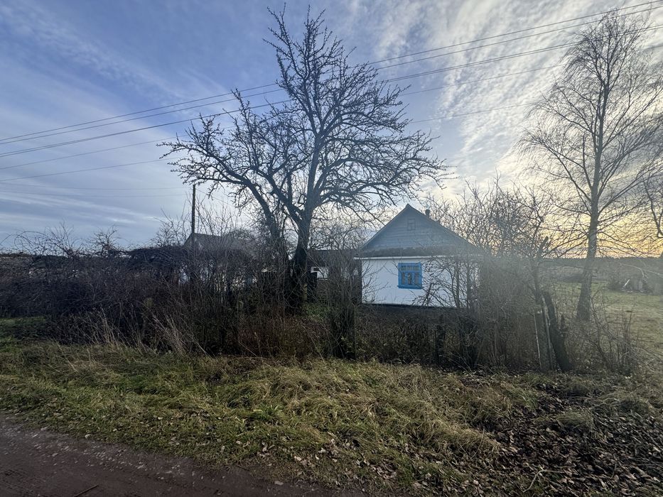 Продам будинок с. Рідкодуби