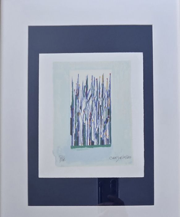 FLora, serigrafia do mestre Cargaleiro, obra antiga