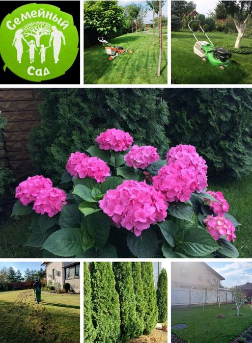 Комплексний догляд за садом,обрізка-обприскування,аерація-покос газону