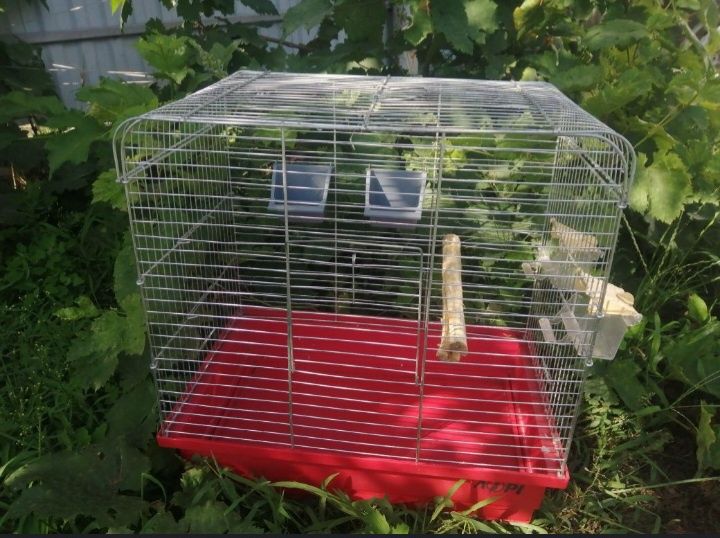 Клітка для птахів бу