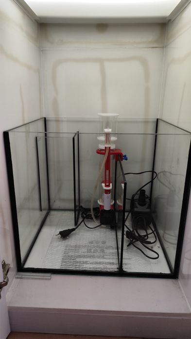 Material para aquário marinho