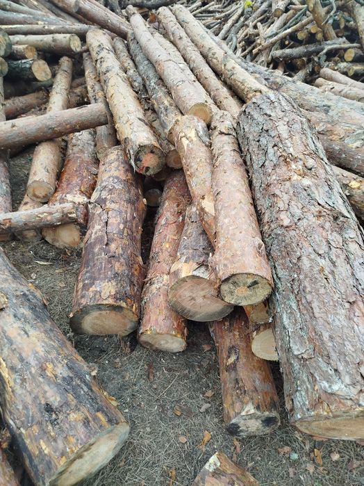 Sprzedam dżewo na opał