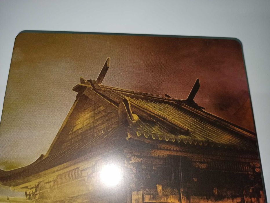 ps4 STREET FIGHTER V STEELBOOK EDITION po polsku unikatowe wydanie