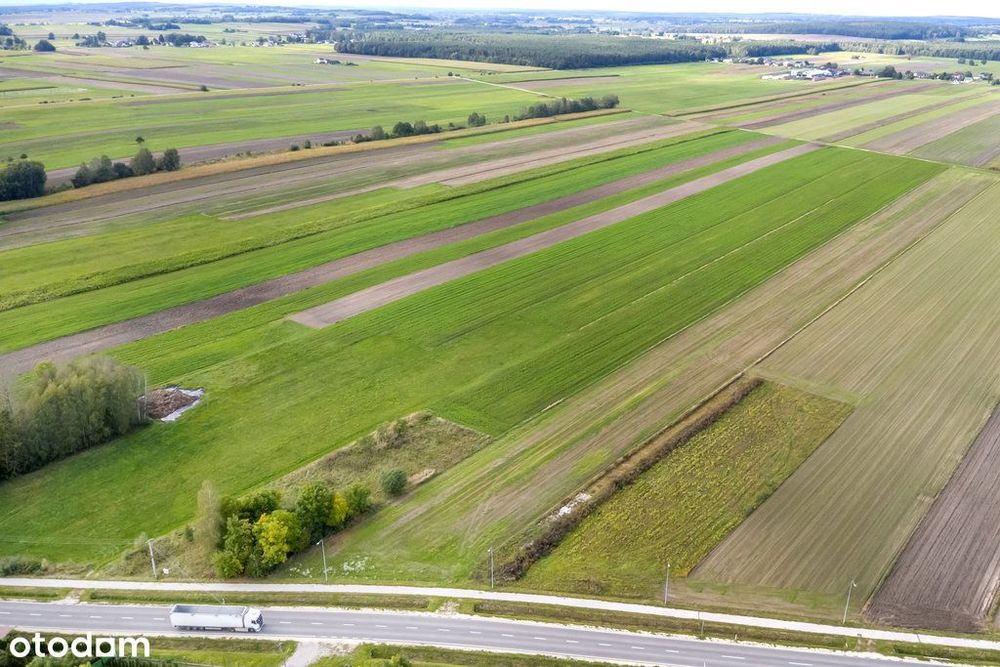 Grunt na sprzedaż/Plot for sale