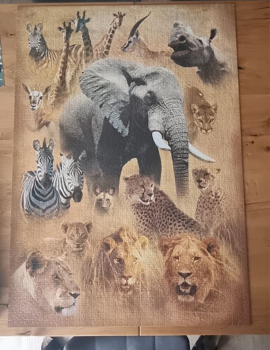 Puzzle 2000 trefl świąt dzikich zwierząt