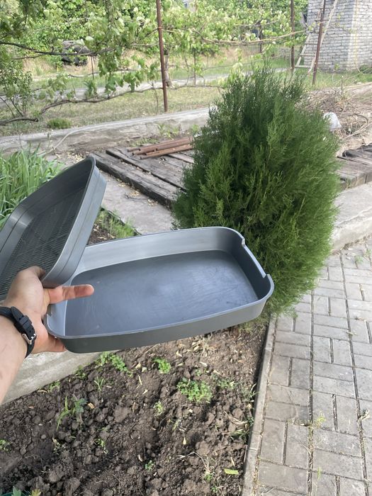 Лоток для котів низький
