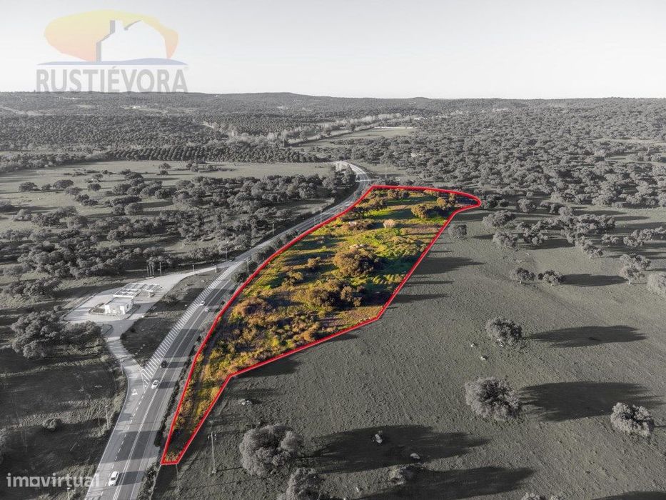 Quinta com monte em ruinas e com viabilidade de Construção, próxima...