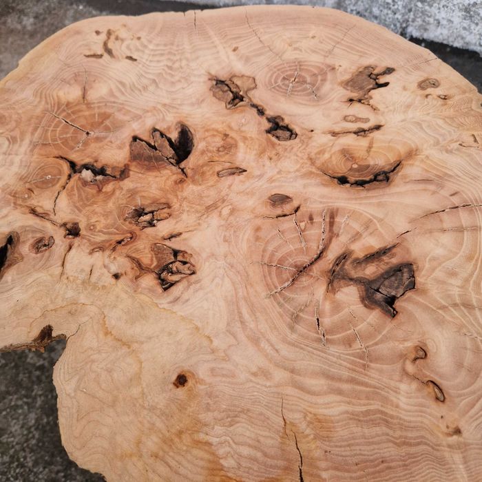 Freixo Maciço, Mesa de centro natural, Pedaço de madeira