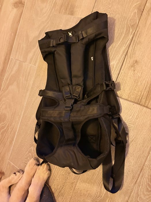 Mochila Porta-Cães Estilo Canguru/Marsúpio – Confortável e Segura