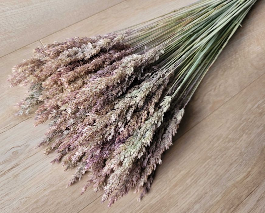 zboże, pszenica, kłosy, suszone bukiety kwiaty suszki dodatki florystyczne