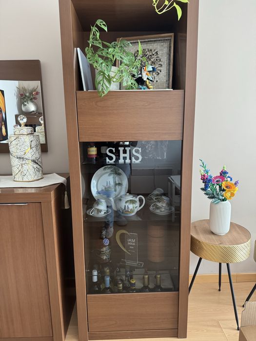 Conjunto completo moveis de Sala (Negocioavel)