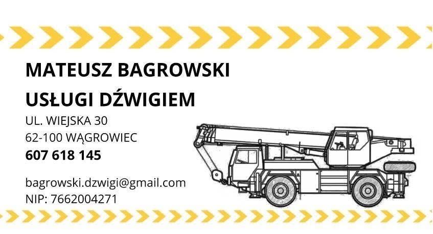 Usługi żurawiem samojezdnym, dźwigiem Wągrowiec, Gniezno, Poznań, Bydgoszcz / Usługi minikoparką