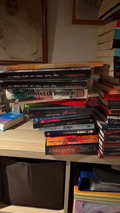 Muita variedade de livros