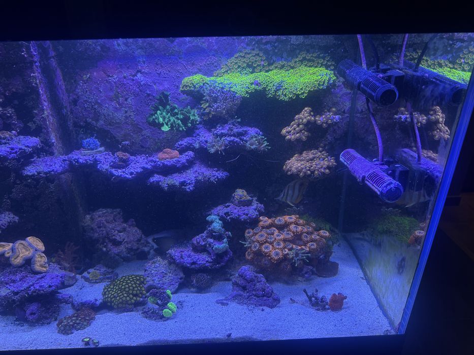 Akwarium morskie 150x50x50cm