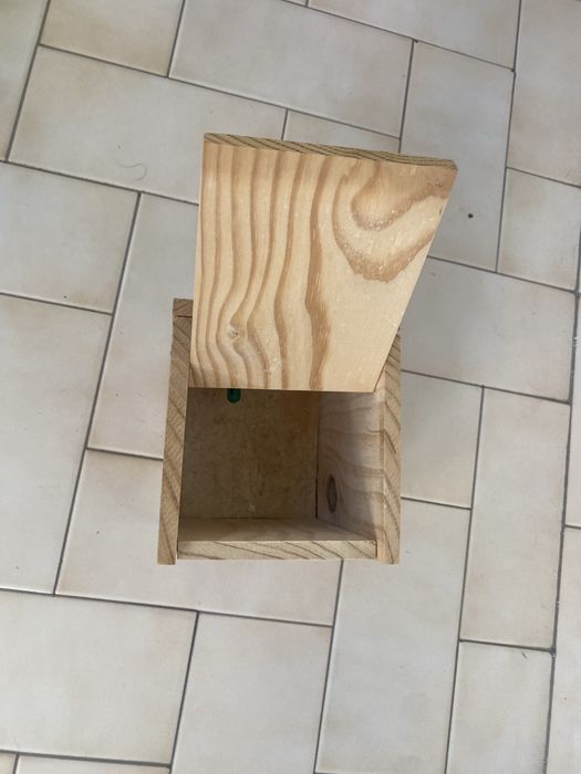 Ninho pássaro - usado 1x