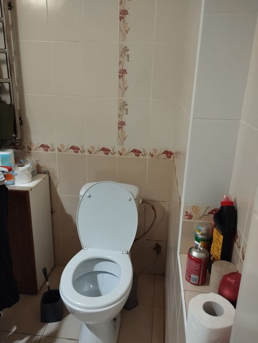 Продам дом Змиев(Е-оселя)