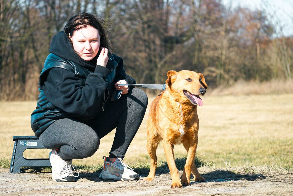 Rudik - śliczny niewielki pies
