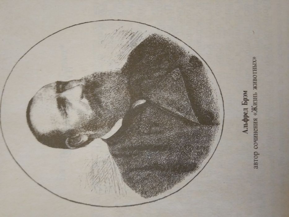 Альфред Брем. ,,Жизнь животних''