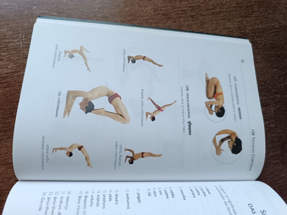 108 técnicas corporais