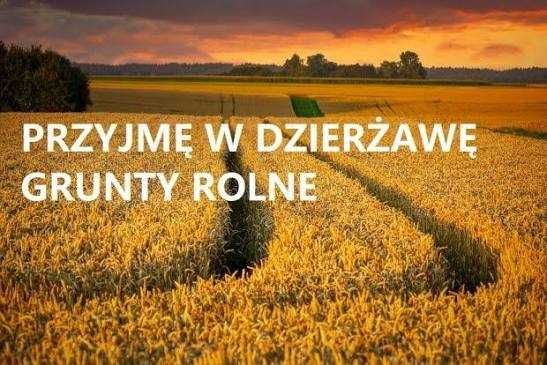 Pole dzierżawa orne