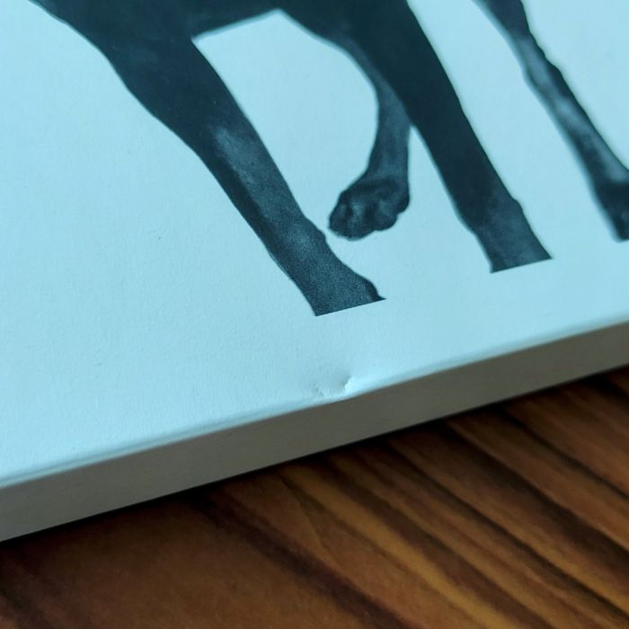 O S.T.R. Gniew 2CD wersja A